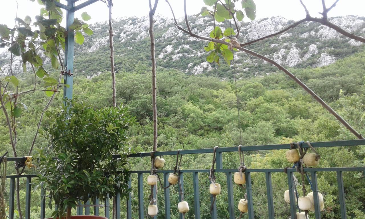 Danijela Apartmani ชานจ์ ภายนอก รูปภาพ